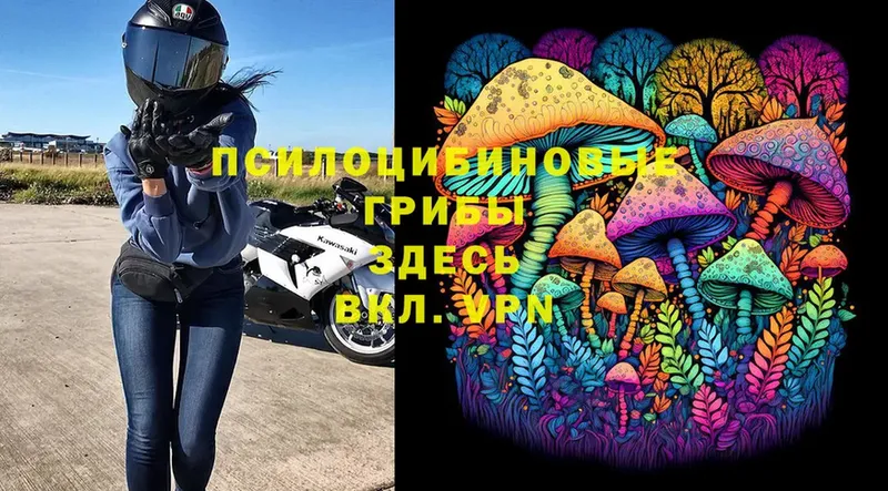 Галлюциногенные грибы MAGIC MUSHROOMS  Хабаровск 